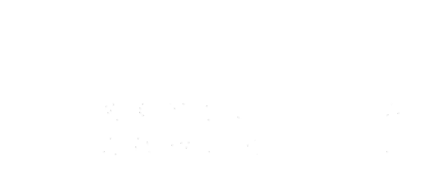 Wolski logo